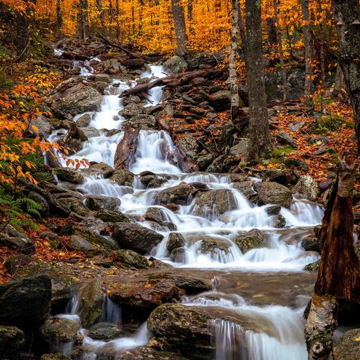 Moss Glen Falls in Stowe