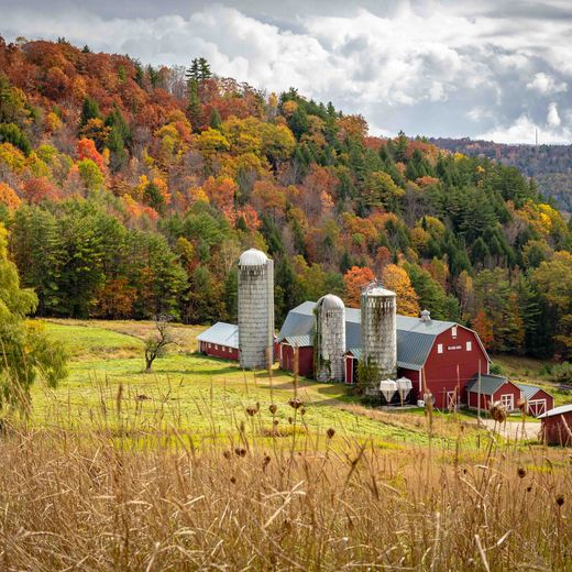 Peacham, Vermont in fall