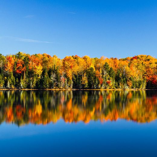Fall color reflected in a Vermont lake